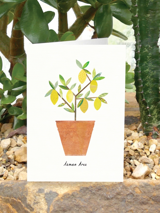 Lemon Tree Greeting Card with House Plant Care Tips by Lianne Harrison of Paperwhale Cards