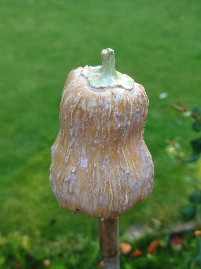 Pumpkin cane topper home decor