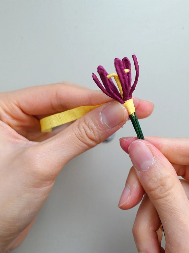 Crepe Paper Parrot Tulip DIY Kit