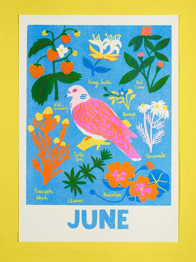 'June' Month Forage Print