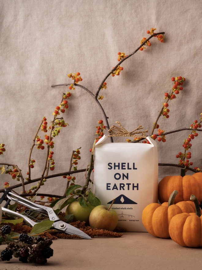 Shell on Earth Mini Bag 