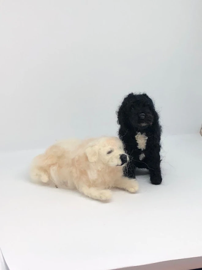 merino wool golden retriever portrait