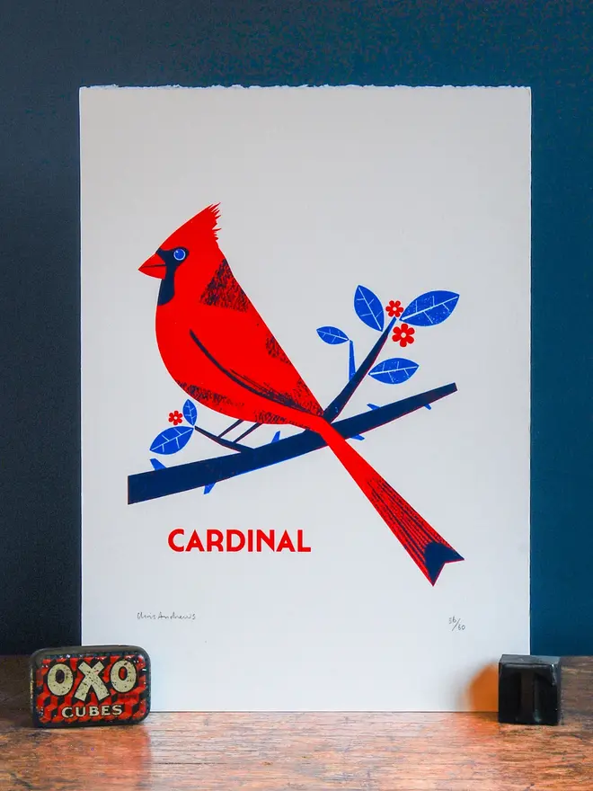 illustrated cardinal print. illustration of red cardinal bird propped up against navy blue wall background.