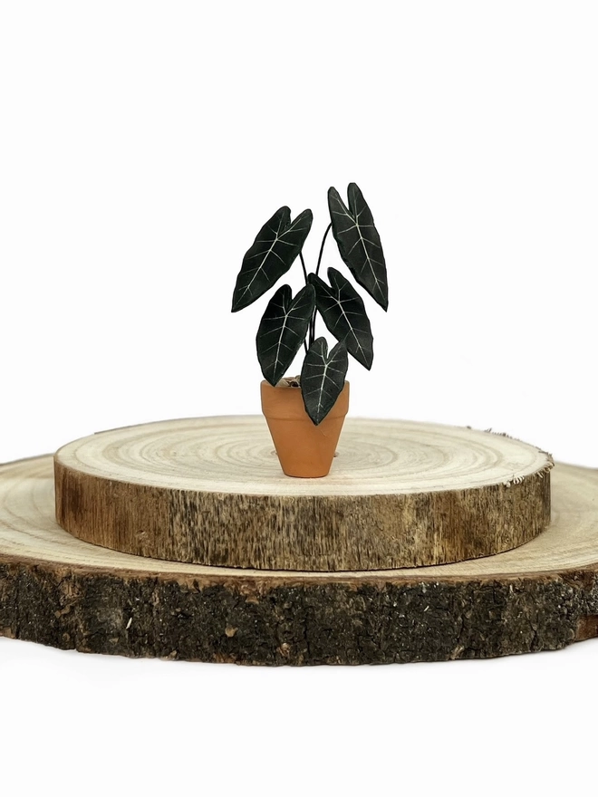 A miniature replica Alocasia Frydek ornament made from paper in a terracotta pot sitting on a stack of 2 wooden log slices