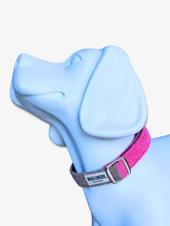 pink dog collar on a mannequin