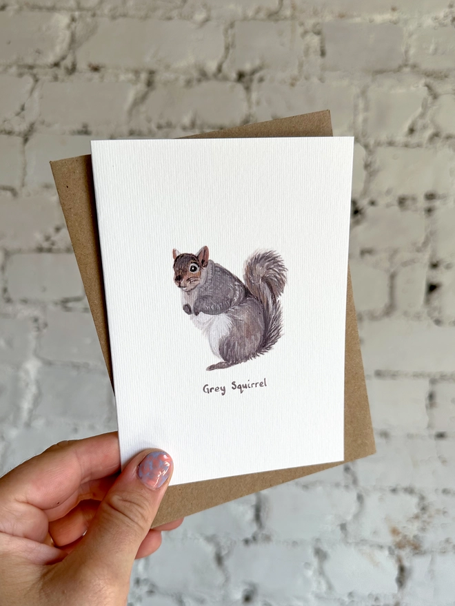 A greetings card featuring an illustrated grey squirrel with a brown kraft envelope