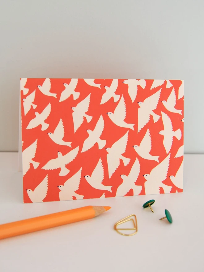Birds Illustrated Notecard Pack
