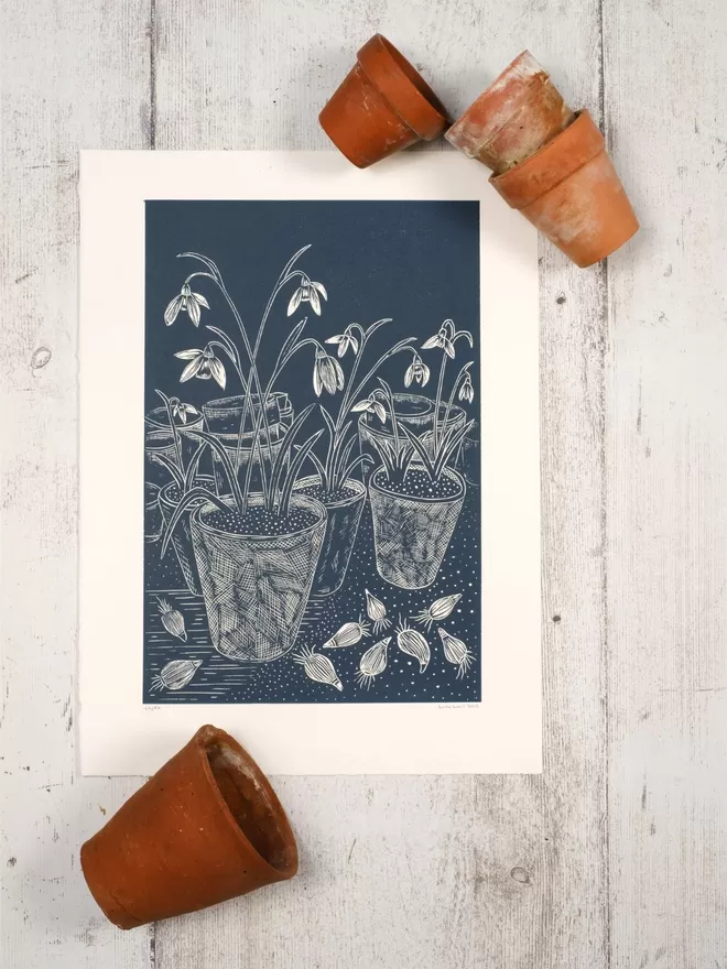 Picture of Snowdrops in Terracotta Pots in a Potting Shed, taken from an original Lino Print 