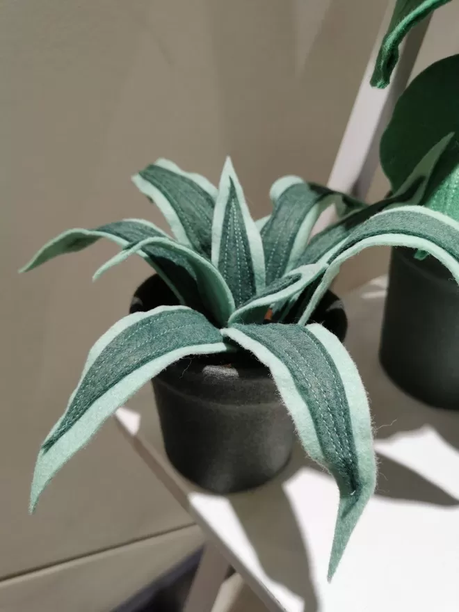 Small potted spider plant made in felt