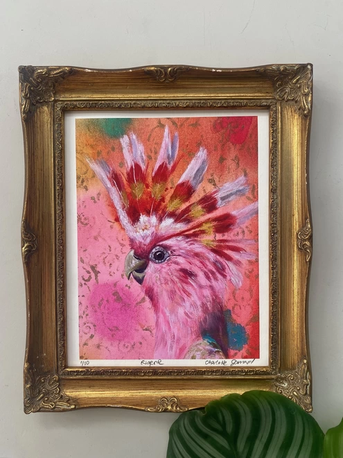 pink cockatoo Eugene 