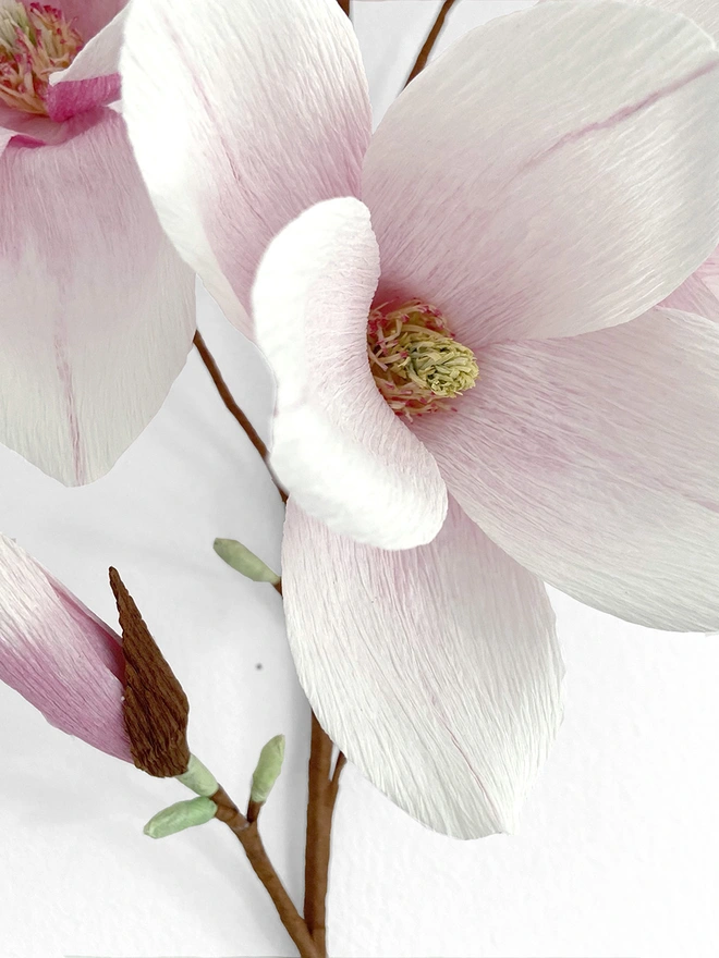 Crepe Paper Magnolia DIY Kit