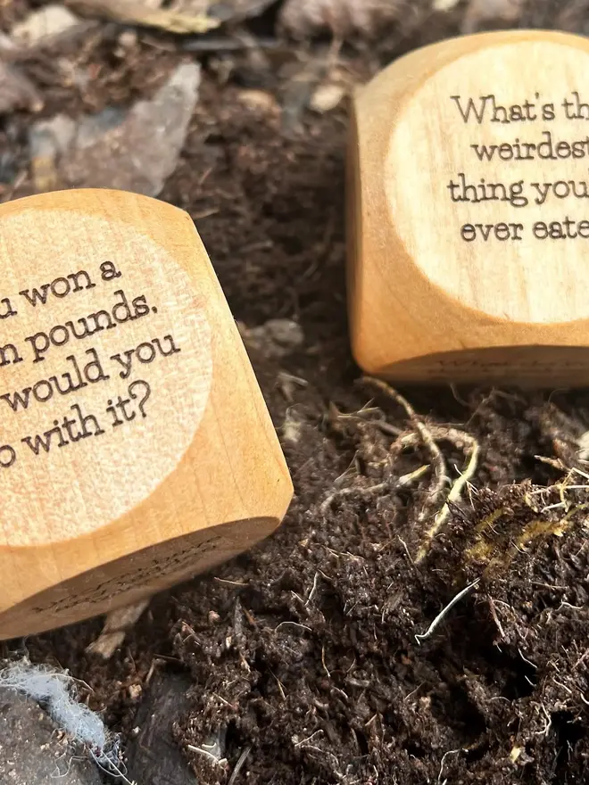 Dice showing 2 questions on a forest floor