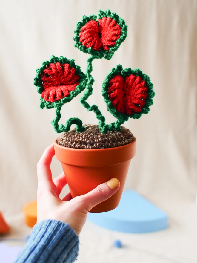 crochet Venus Flytrap in terracotta pot