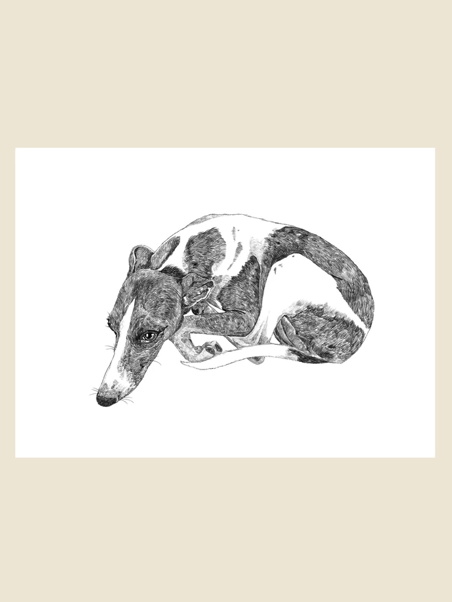 Artwork of whippet love art print