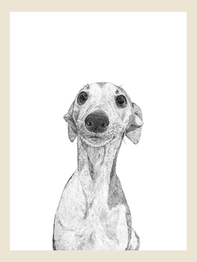 Artwork of the whippet puppy portrait print