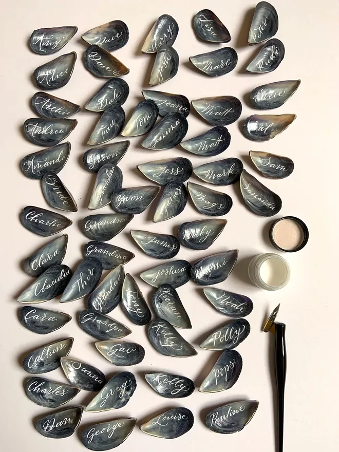 Lots of mussel shells randomly arranged