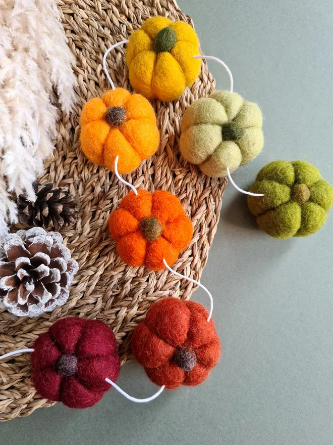 Rainbow Pumpkin Garland Autumn Home Decor