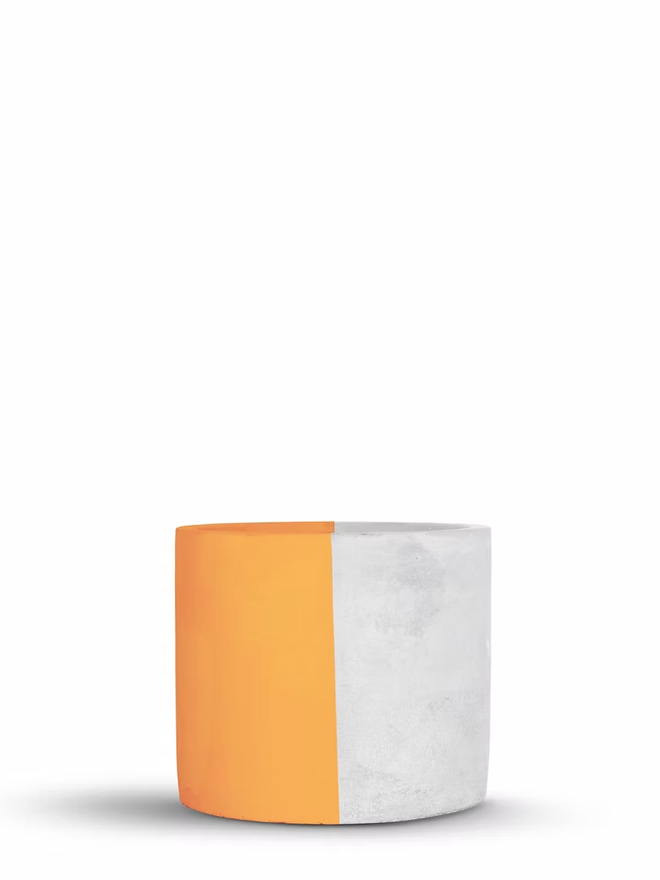 half & half concrete plant pot. a grey concrete plant pot painted half orange.