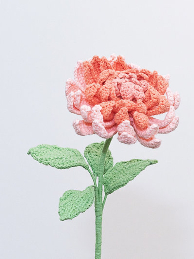 light pink crochet dahlia flower stems