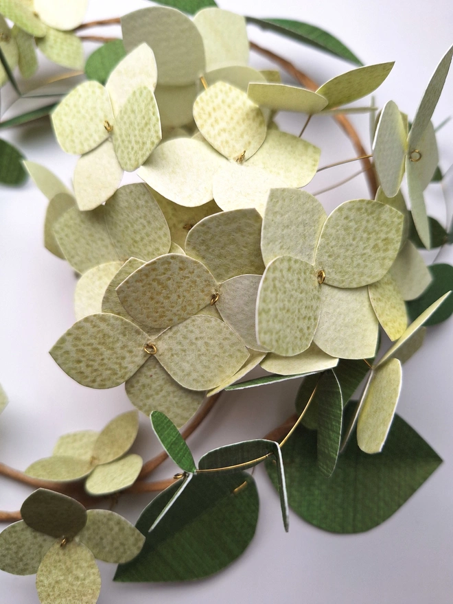 Green hydrangea flower wreath, handmade from paper. There is a cluster of 16 hydrangea blooms on the wreath, which is also adorned with single flowers and two types of dark green leafy stems.