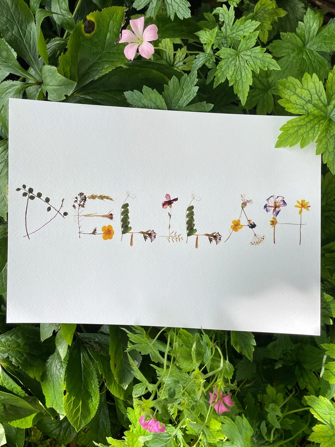 Customised Name Print Of Real Pressed Wildflowers