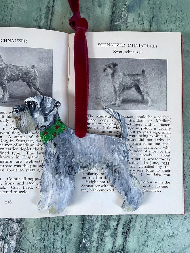 Miniature Schnauzer Hand - Painted Christmas Decoration hung with red velvet ribbon and placed on a red book about dogs