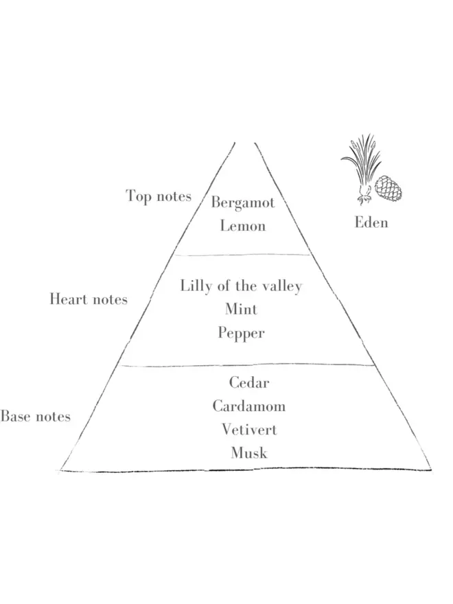 The Eden Scent In Standard Sage Pott