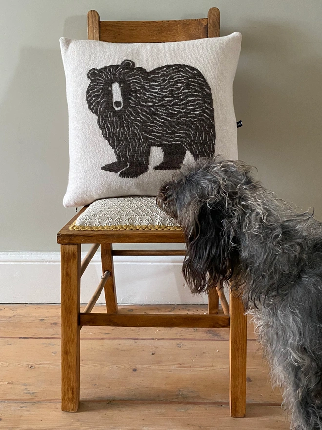 Bear Cushion
