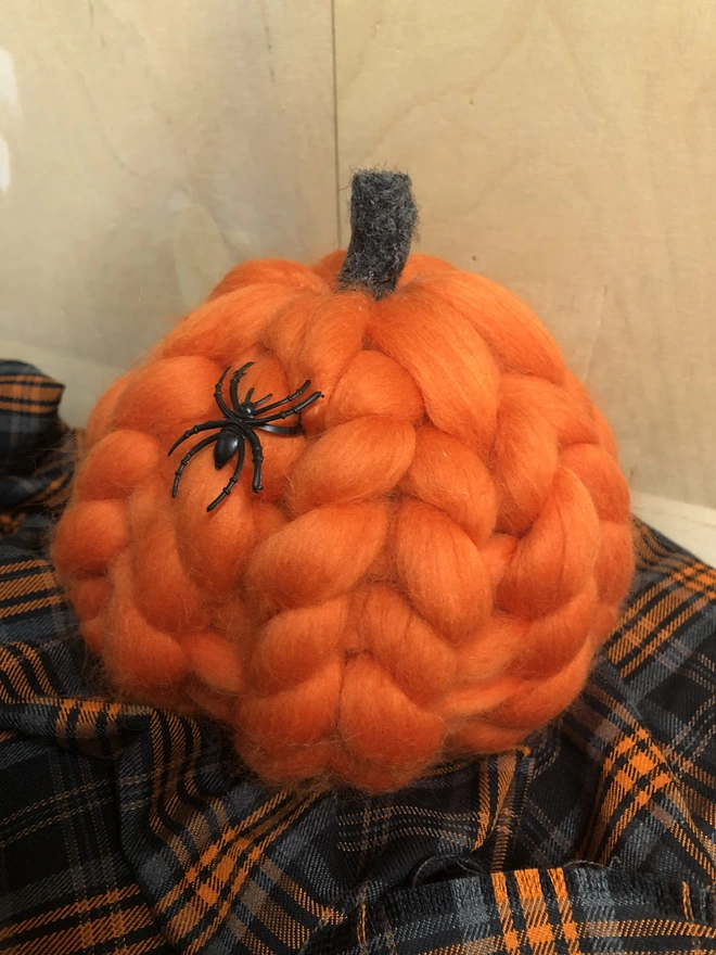 Autumnal pumpkin Halloween Pumpkin Orange
