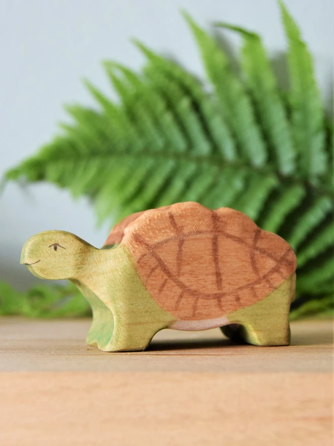  Wooden Tortoise Toy 