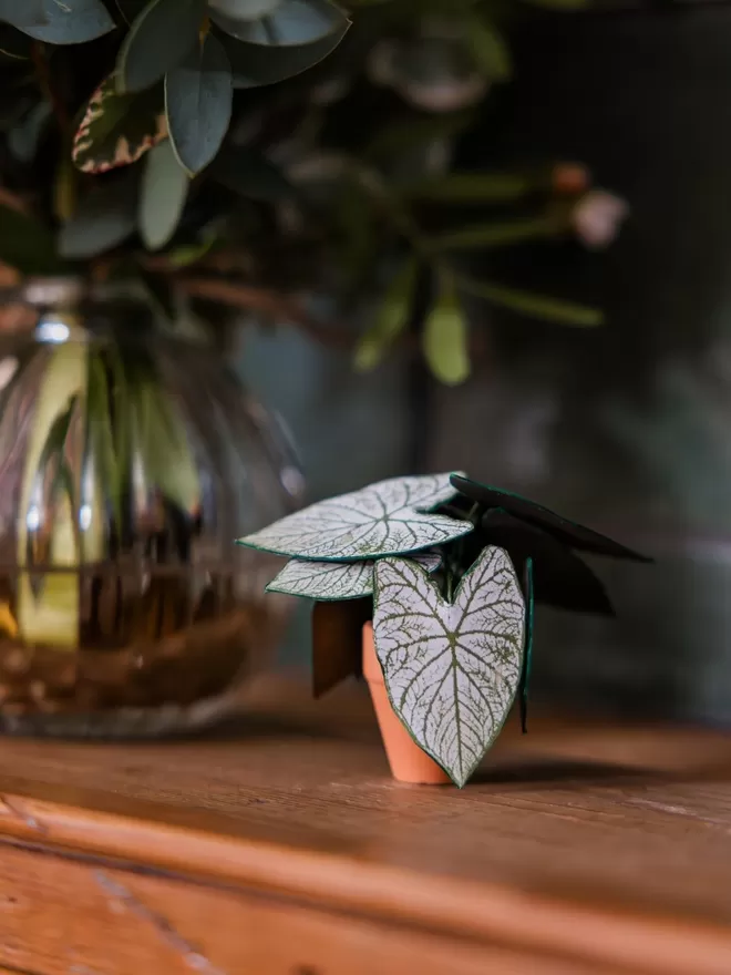 A miniature replica Caladium Angel Wings paper plant ornament in a terracotta pot sat in a wooden tray with real succulent plants in the background