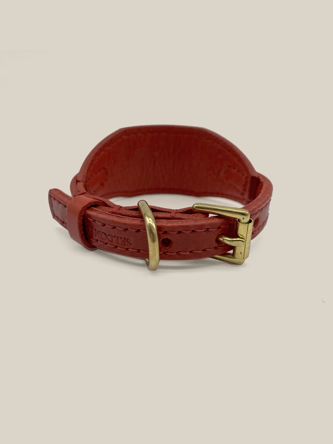 rear view of red leather sighthound collar