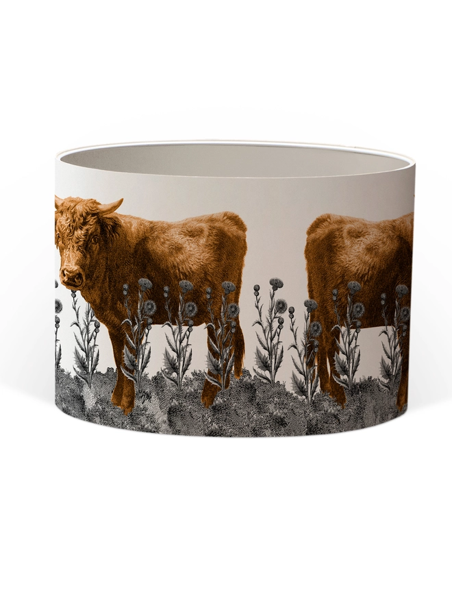 Lampshade of Highland Cow in a field of Scottish thistles