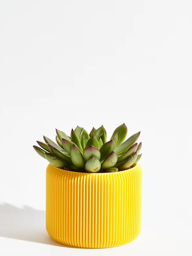 Sustainable 3D Printed Banana Yellow Plant Pot, turbin design against a white background.