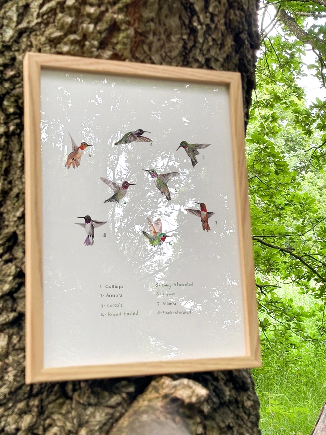 a print featuring some tiny illustrations of hummingbirds