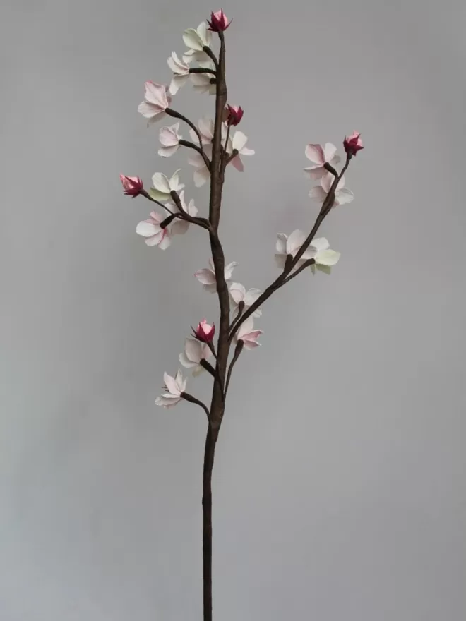 Everlasting Paper Blossom Flower