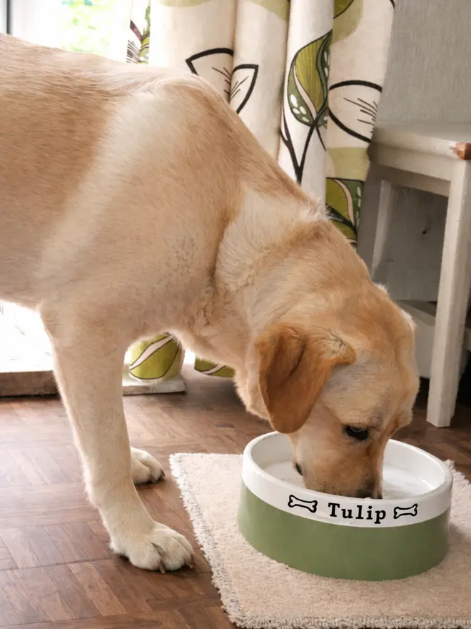 Large Handmade Dog Bowl