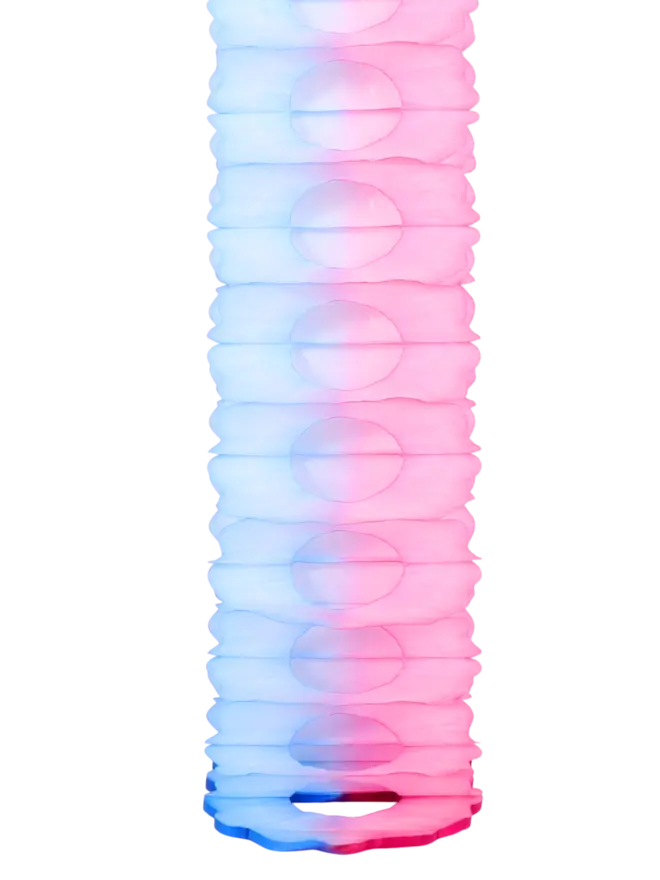 Two-Tone Garland 4m, Cornflower & Rose