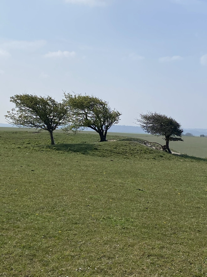 Borders of Brighton