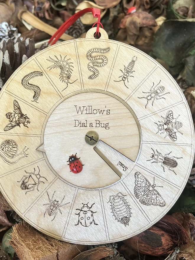A round wooden insect / bug identifier dial toy, showing a personalised name