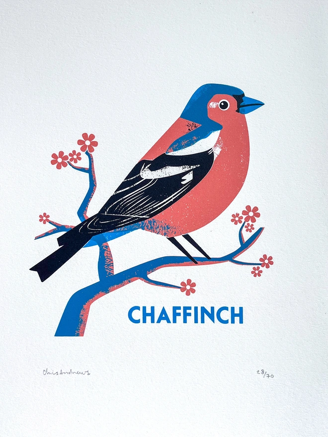 A screenprint of a Bullfinch bird on white paper against a navy blue background.