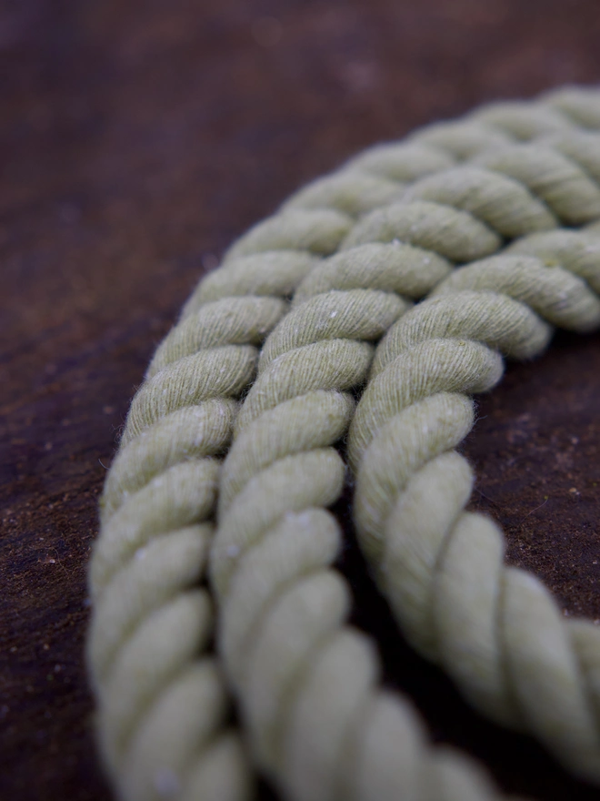 Dog collar 