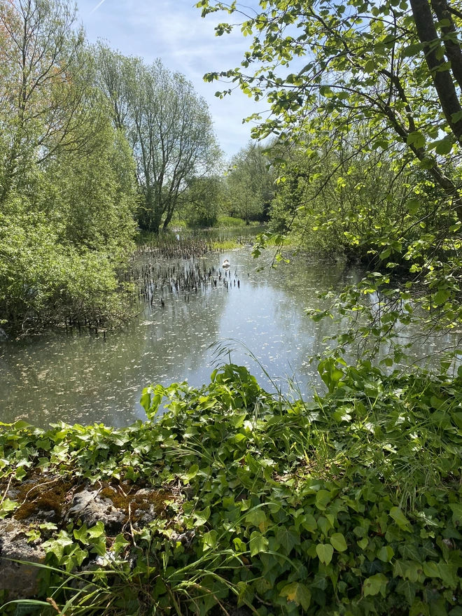 Oxford Delight