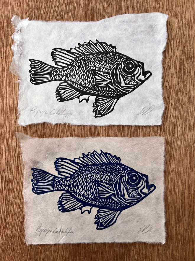 Close-up of a hand-printed Popeye Catalufa fish lino print showing the carved detail, ink texture and natural grain of the handmade paper.