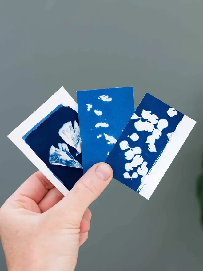Mini Cyanotype Paper To Create Beautiful Prints With Sunlight