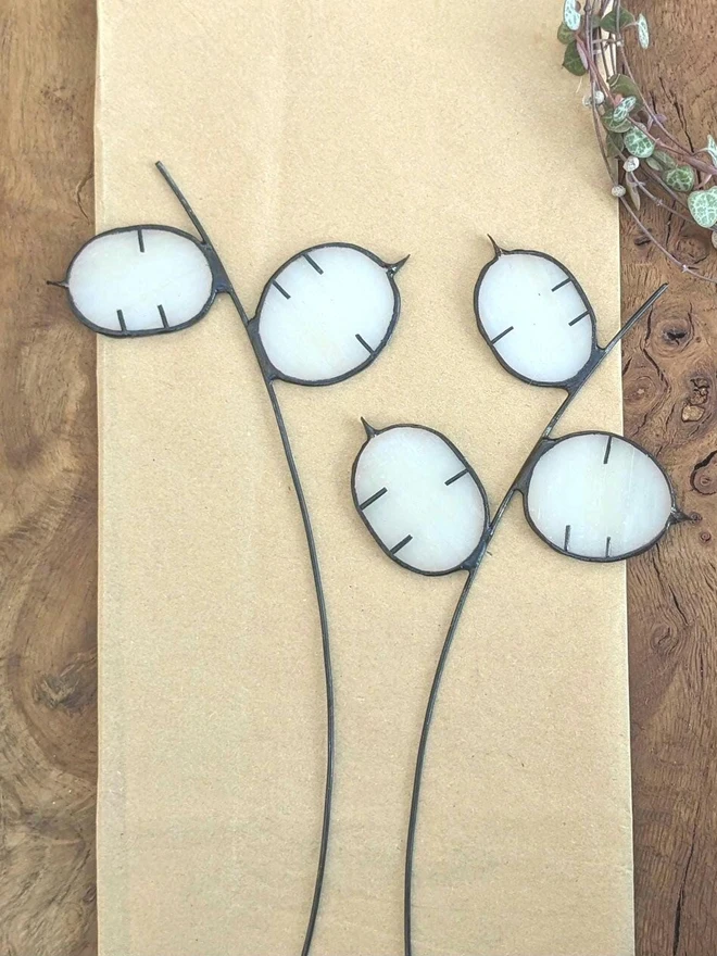 Stained Glass Flower Honesty (Lunaria)