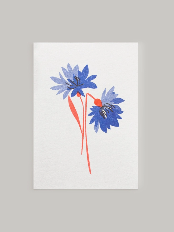 Two delicate cornflowers are risograph printed in beautifully vibrant colours onto this mini greeting card. Each card comes complete with a contrasting envelope and is blank inside.