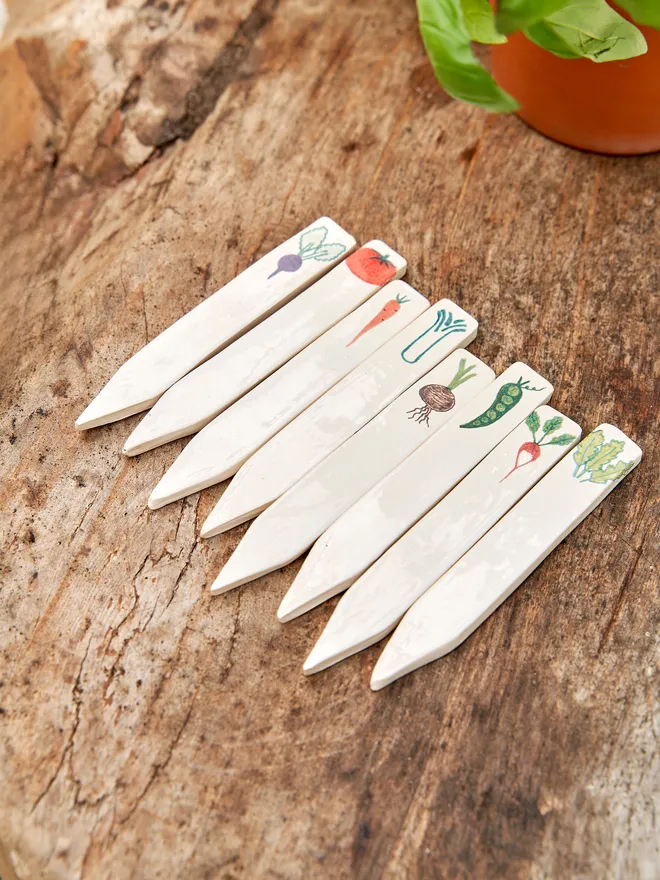 Ceramic Vegetable Image Labels (Set Of 8)