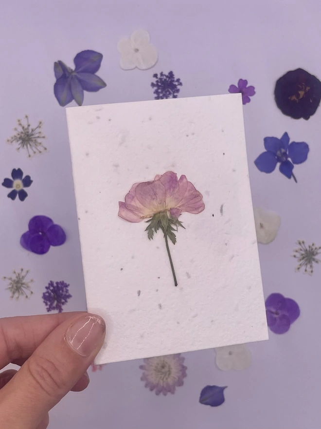 Real Pressed Flower Plantable Notecard, Dog Rose