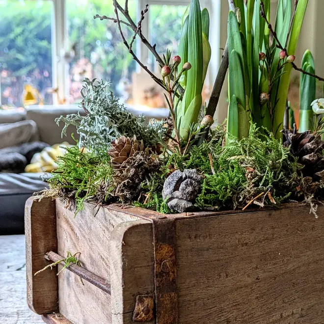 Spring Bulbs In A Wooden Brink Planter With Quail Eggs and White Wax Flowers